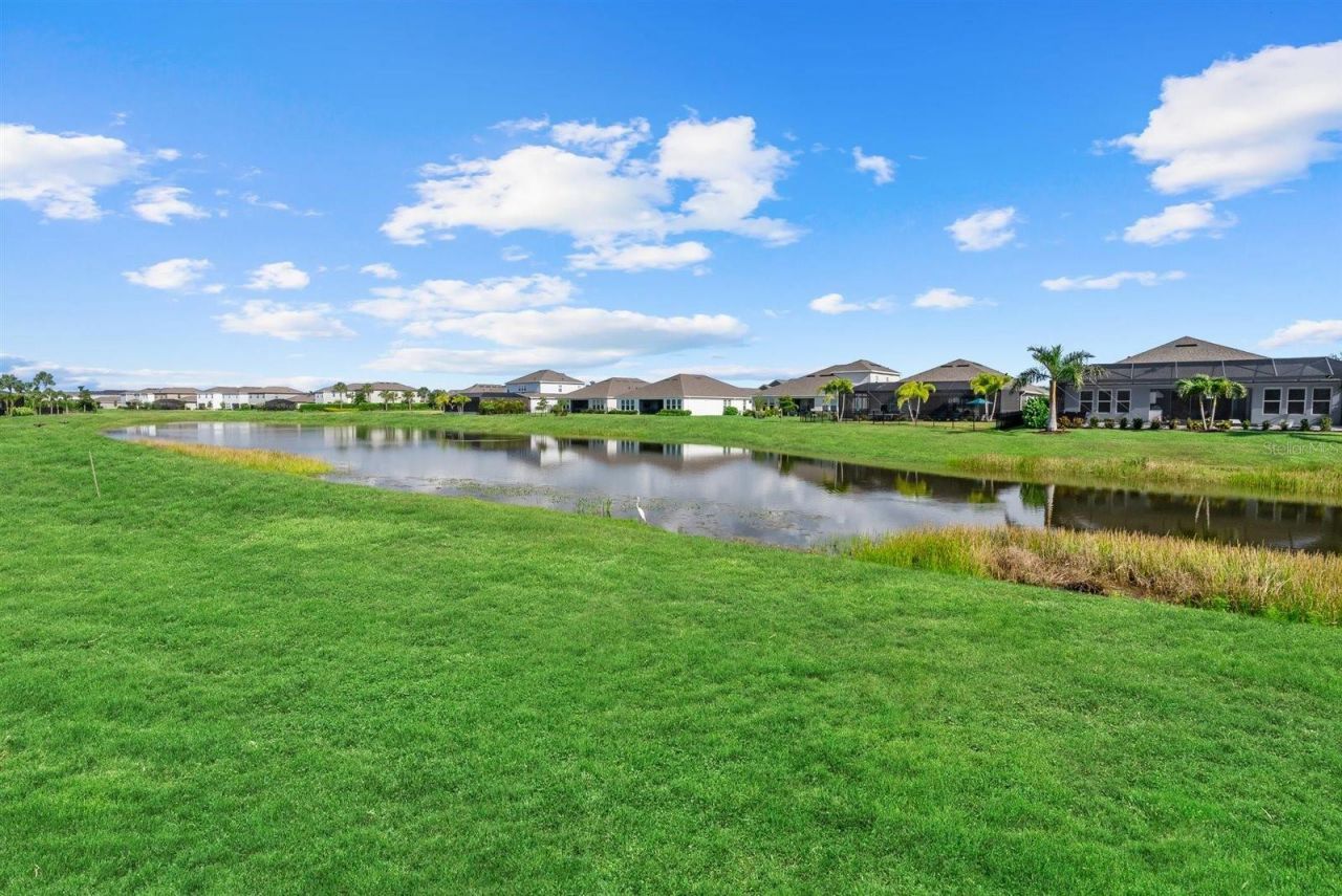 16435 Star Grass Circle, Bradenton, FL 34211 Photo