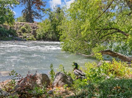 2300 Dickerson Road, Unit APT 51, Reno, NV 89503 Photo