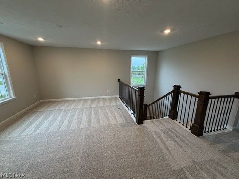 6379 Cooper Hawk Drive, Medina, OH 44256 Photo 13