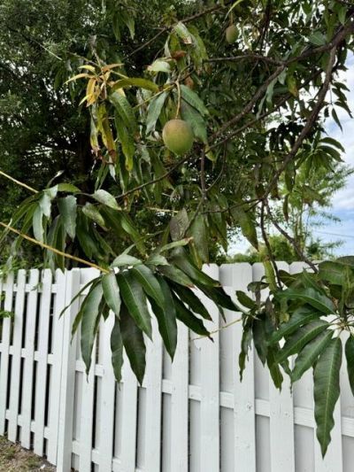 717 2nd Ave S, Unit 5, Lake Worth Beach, FL 33460 Photo