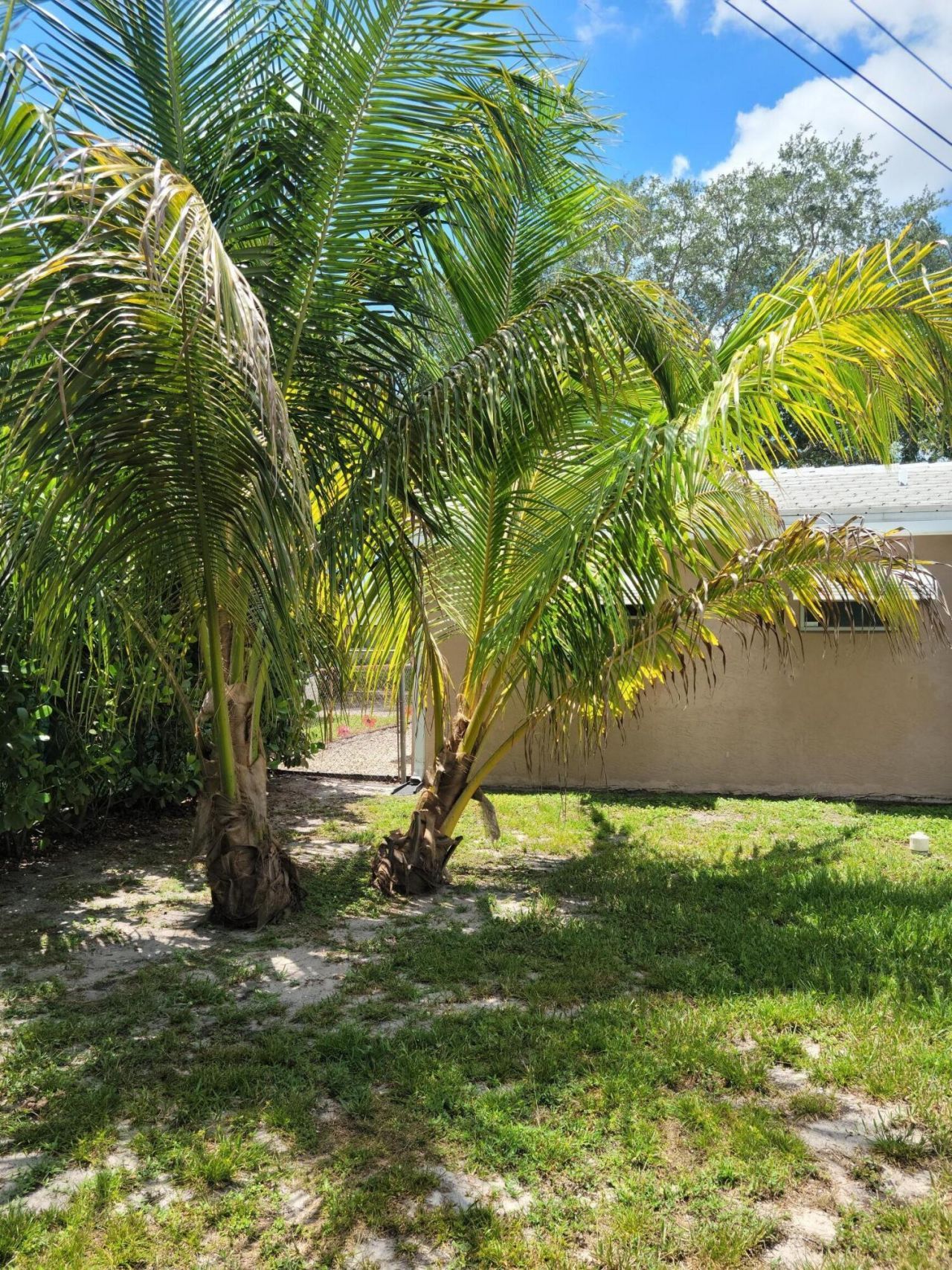 6781 Charleston Street, Hollywood, FL 33024 Photo