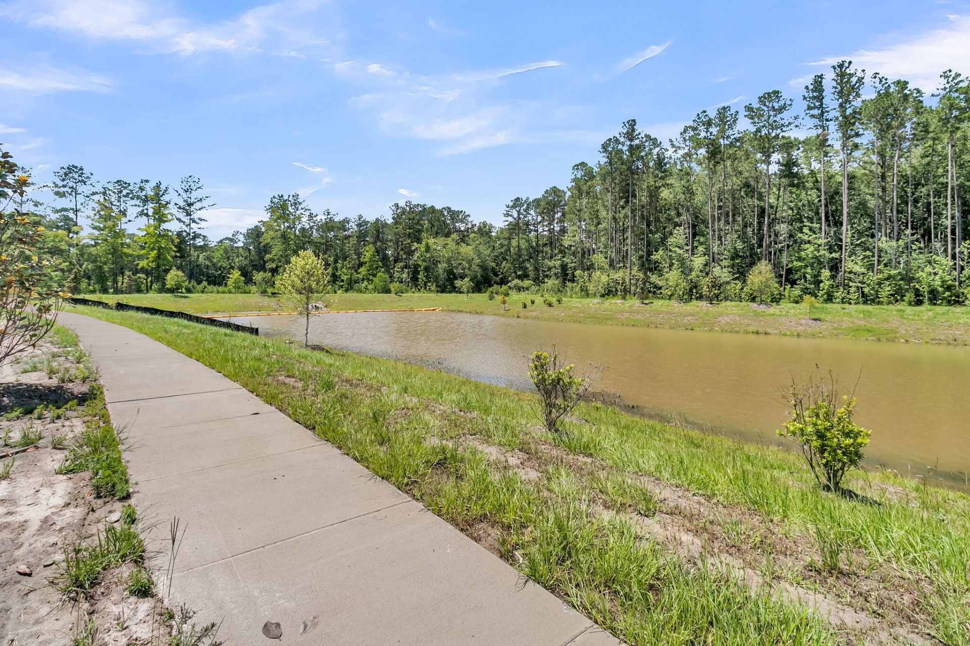1056 Dusk Drive Photo 12