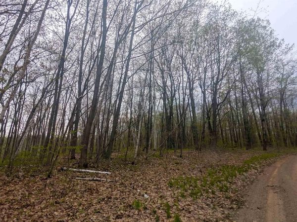 53XXN Basswood Lane, Stone Lake, WI 54876