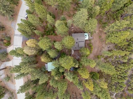 626 Bear Valley Road , Loyalton, CA 96118 Photo