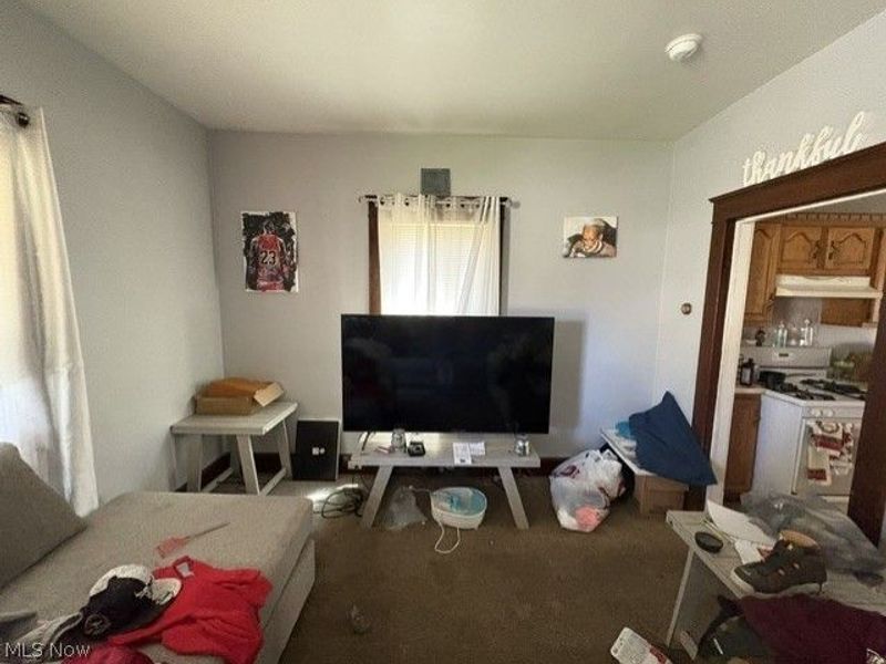 1743 Silliman Street , Youngstown, OH 44509 Photo 2