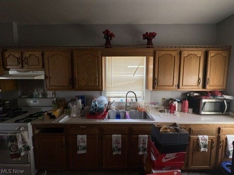 1743 Silliman Street , Youngstown, OH 44509 Photo 3