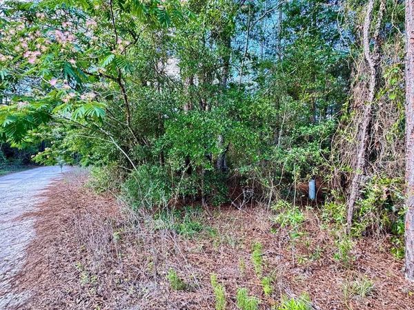 NE 94th Ave, Bronson, FL 32621