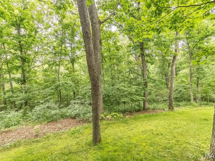 Property Image 55