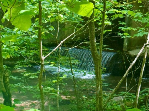 TBD Highway 107 None N, Glenville, NC 28736