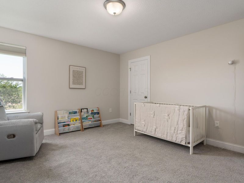 7308 Concord Road, Delaware, OH 43015 Photo 48