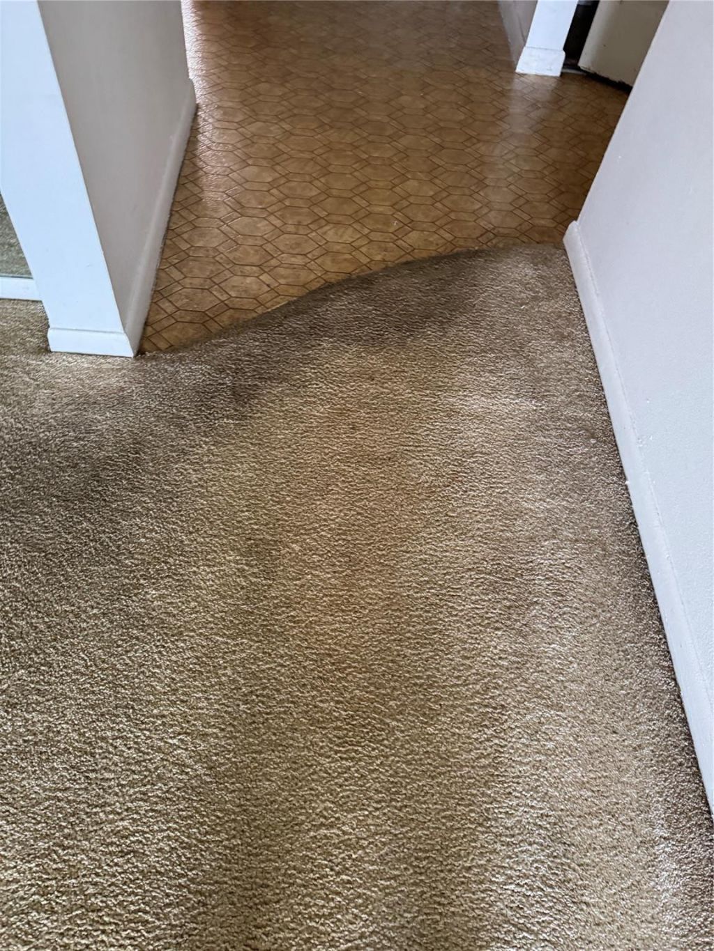 3650 Environ Boulevard, Unit 308, Lauderhill, FL 33319 Photo