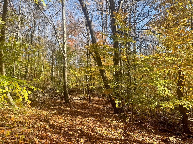 908 Nibert Road , Unit (Ponds Pop, Gallipolis, OH 45631 Photo 10