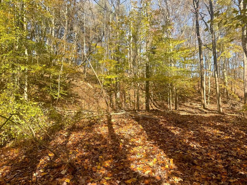 908 Nibert Road , Unit (Ponds Pop, Gallipolis, OH 45631 Photo 12