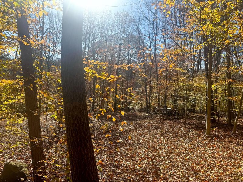 908 Nibert Road , Unit (Ponds Pop, Gallipolis, OH 45631 Photo 15
