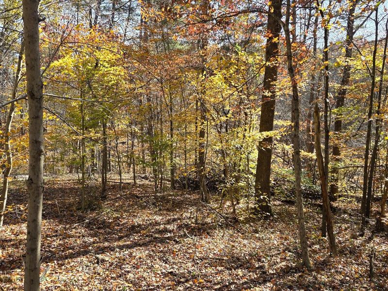 908 Nibert Road , Unit (Ponds Pop, Gallipolis, OH 45631 Photo 18