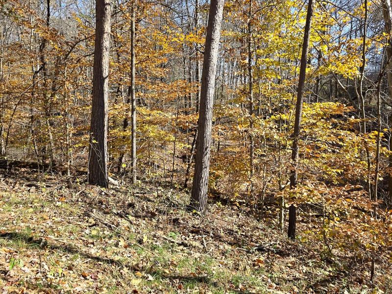 908 Nibert Road , Unit (Ponds Pop, Gallipolis, OH 45631 Photo 19