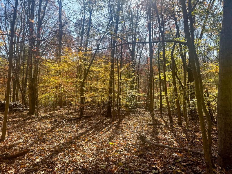 908 Nibert Road , Unit (Ponds Pop, Gallipolis, OH 45631 Photo 9