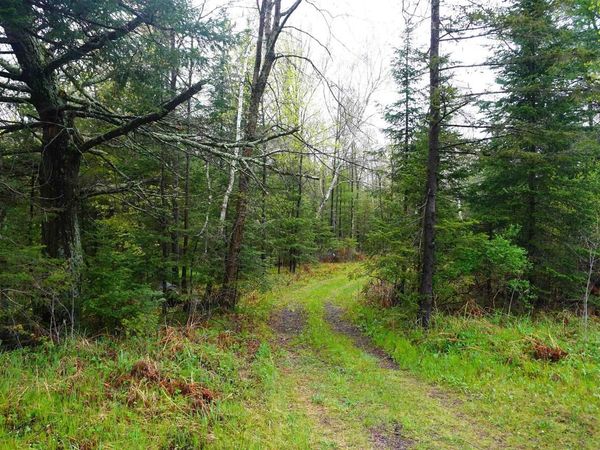20 Acres S COUNTY ROAD X, Gleason, WI 54435