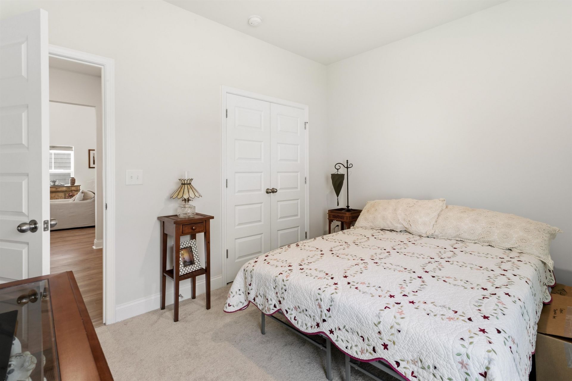 2450 Blue Crane Circle  Photo 19