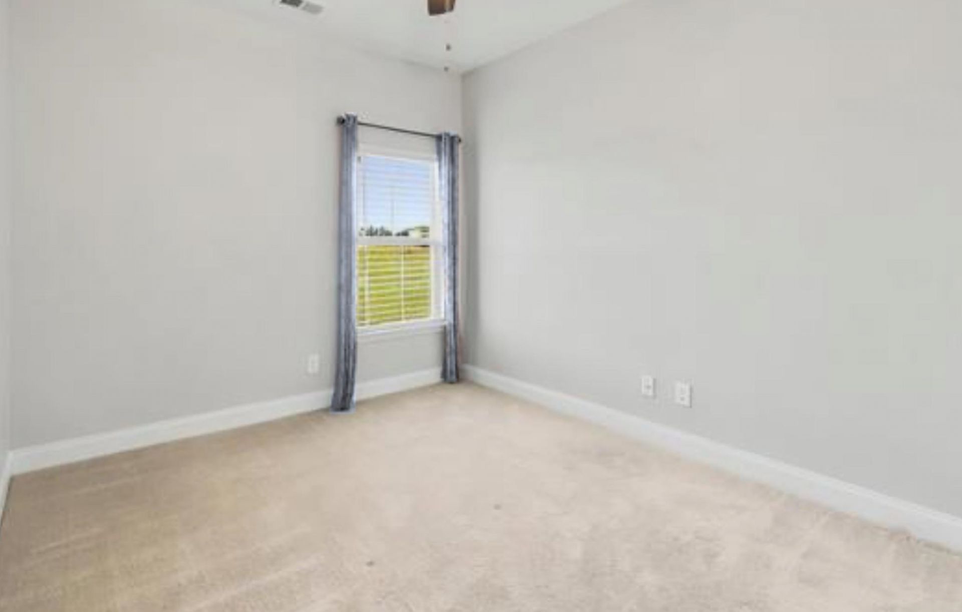 2450 Blue Crane Circle  Photo 20