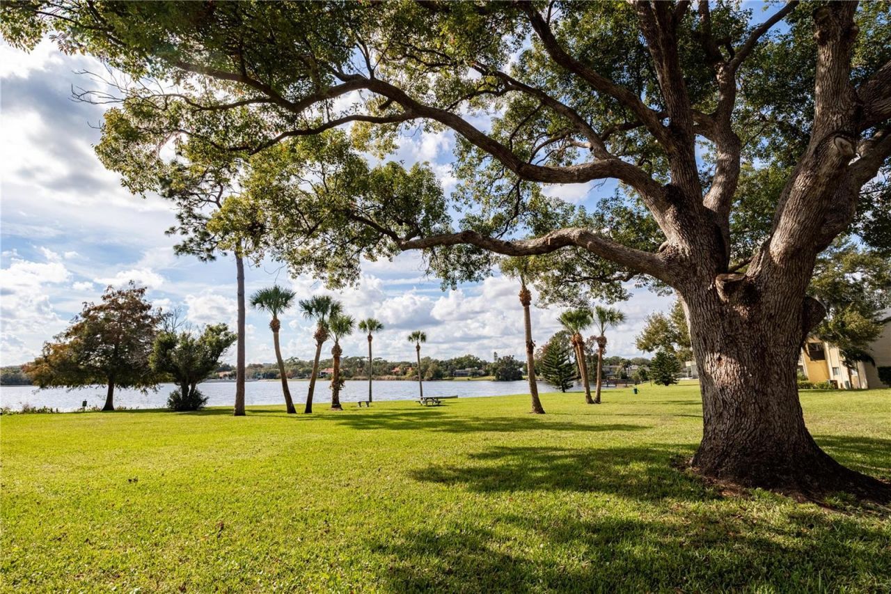 916 Lake Destiny Road, Unit E, Altamonte Springs, FL 32714 Photo