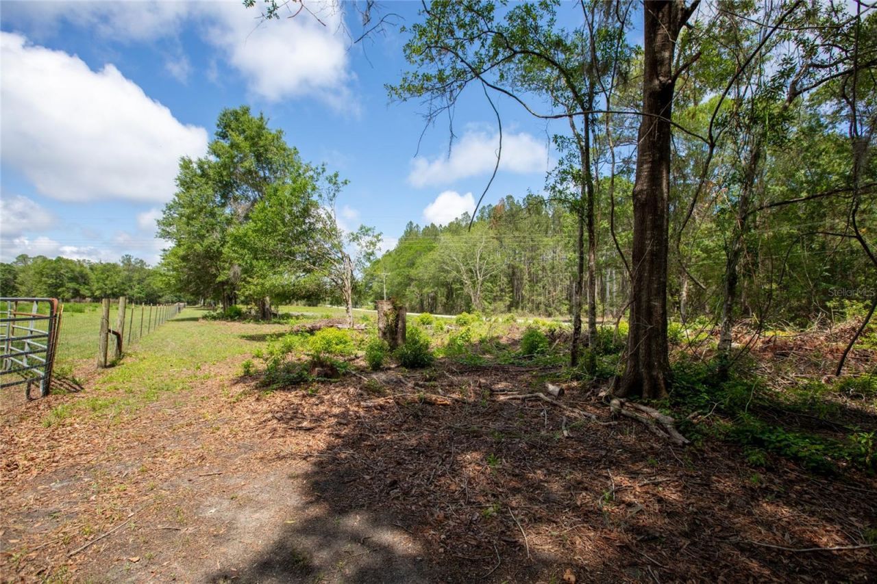 Nw 185th Street , Starke, FL 32091 Photo