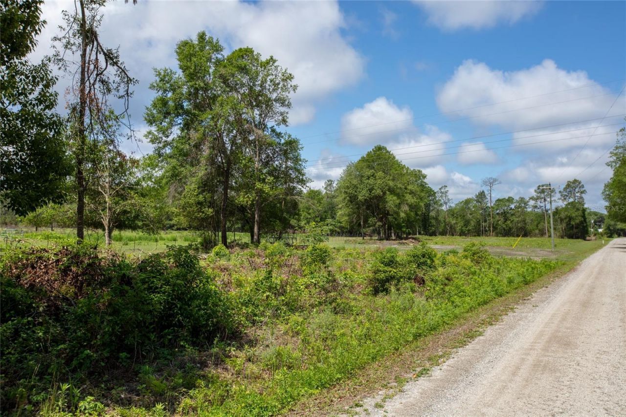 Nw 185th Street , Starke, FL 32091 Photo