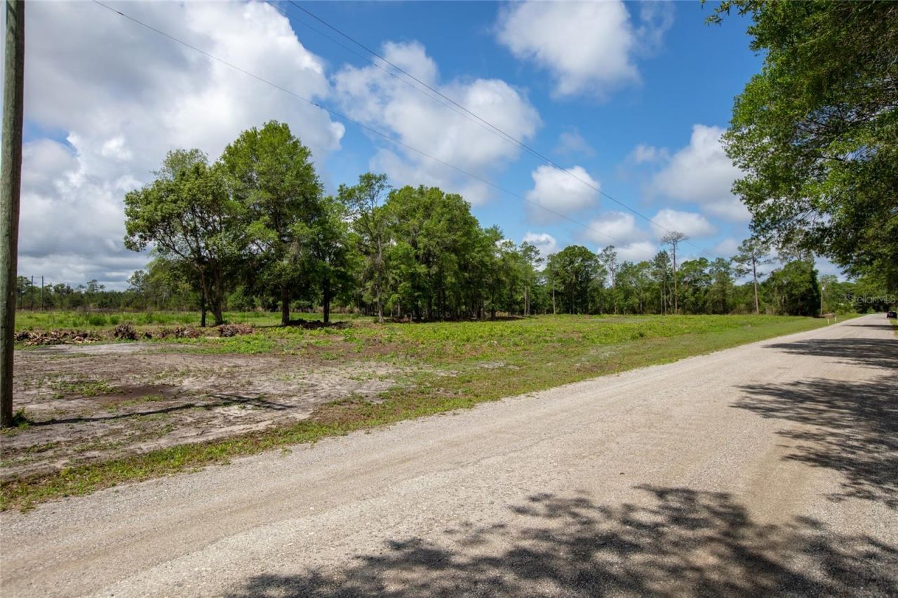 Nw 185th Street , Starke, FL 32091 Photo