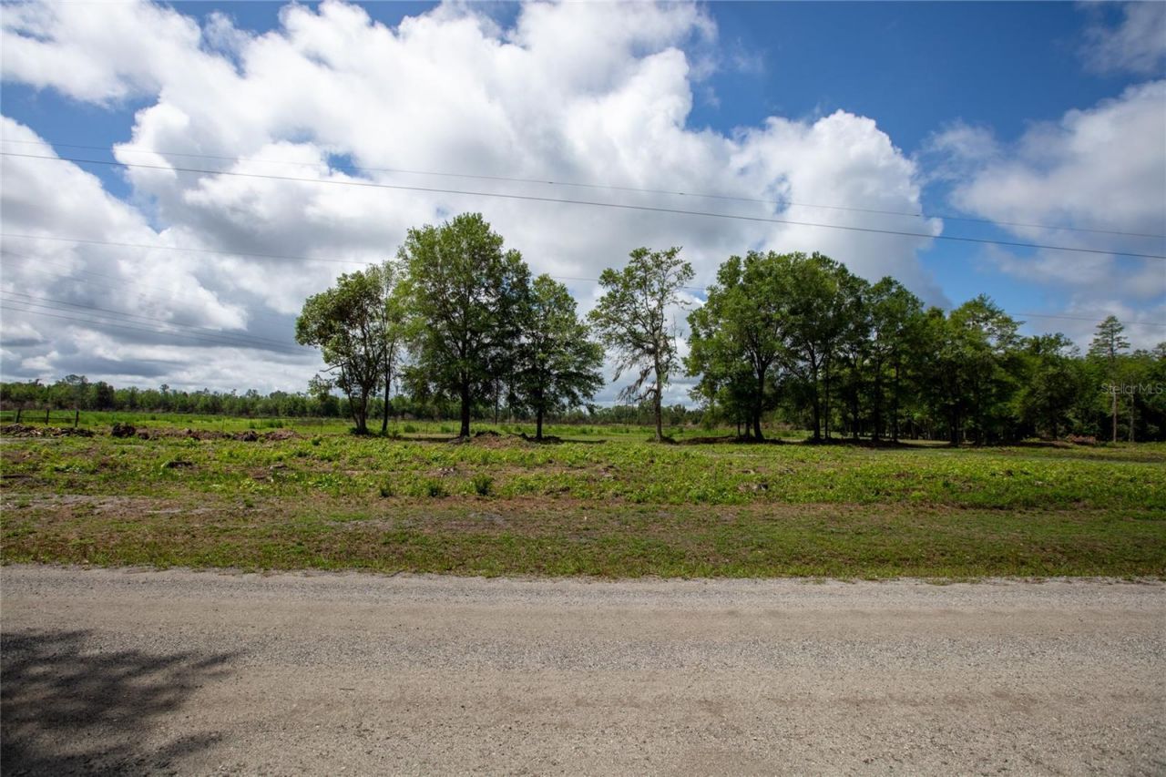 Nw 185th Street , Starke, FL 32091 Photo