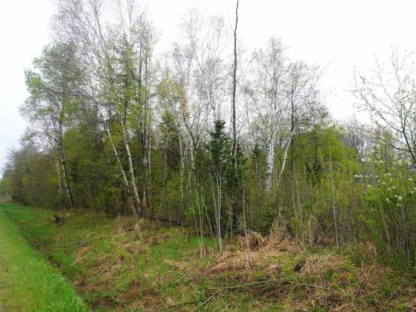 20 Acres N COUNTY ROAD X, Gleason, WI 54435