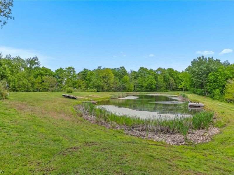 36735 State Route 78 , Lewisville, OH 43754 Photo 10