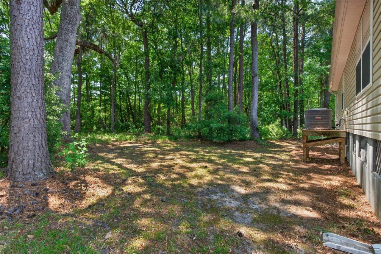 135 Hanahan Plantation Circle Photo 40