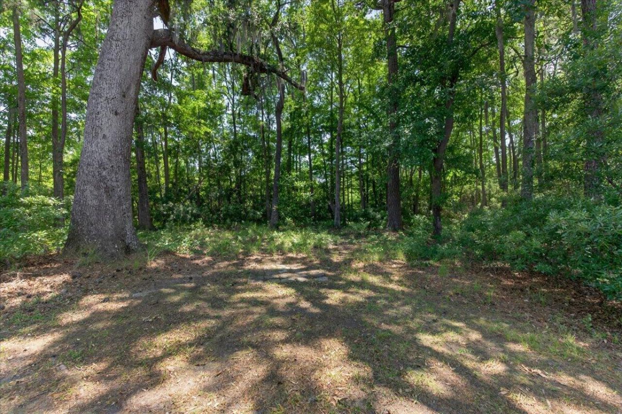 135 Hanahan Plantation Circle Photo 41