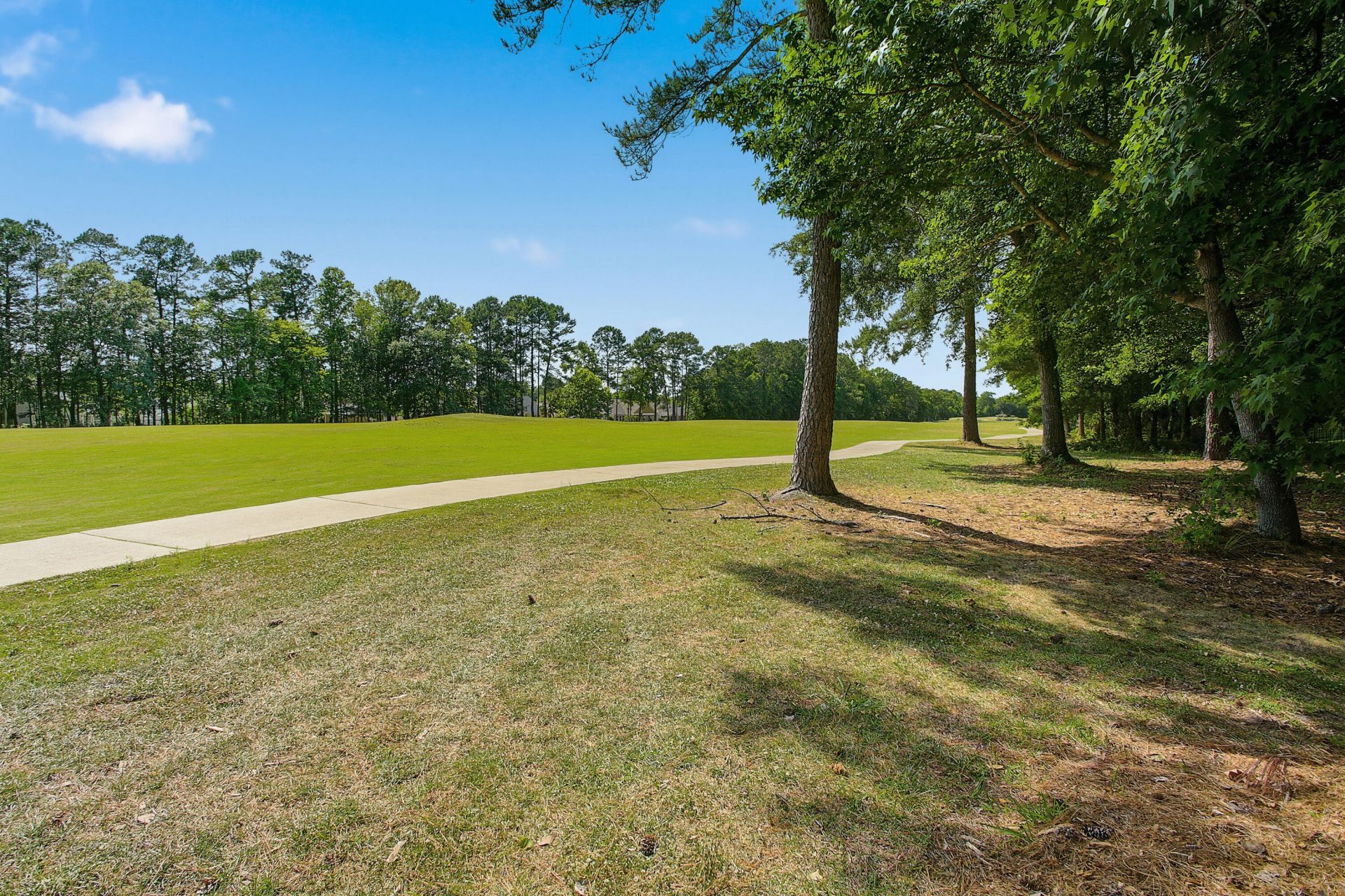 9382 Harroway Road Photo 35