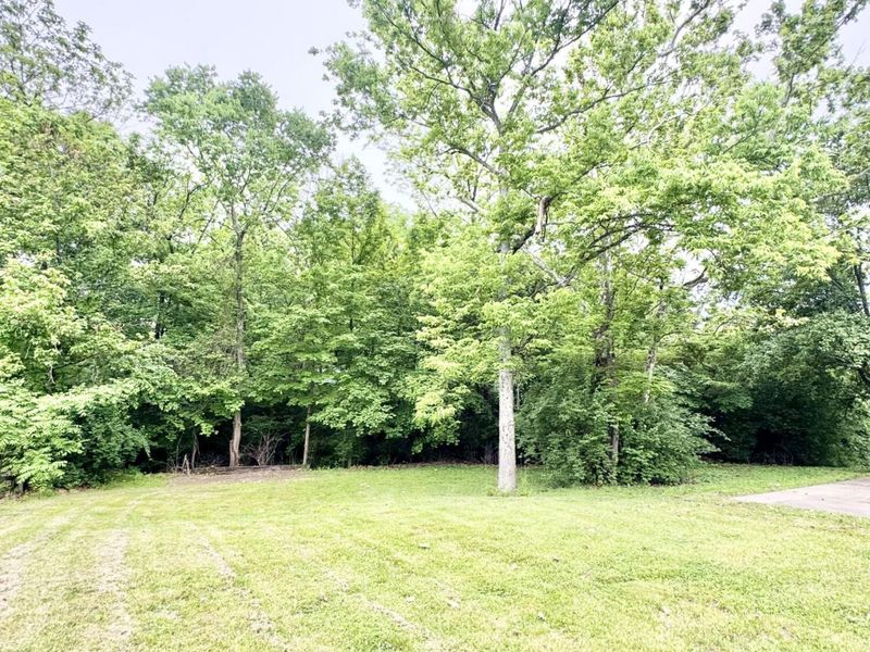 1119 Battleridge Drive, Independence, KY 41051 Photo 47