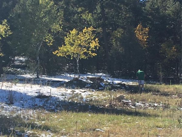 14745 Wetterhorn Peak Trail, Pine, CO 80470