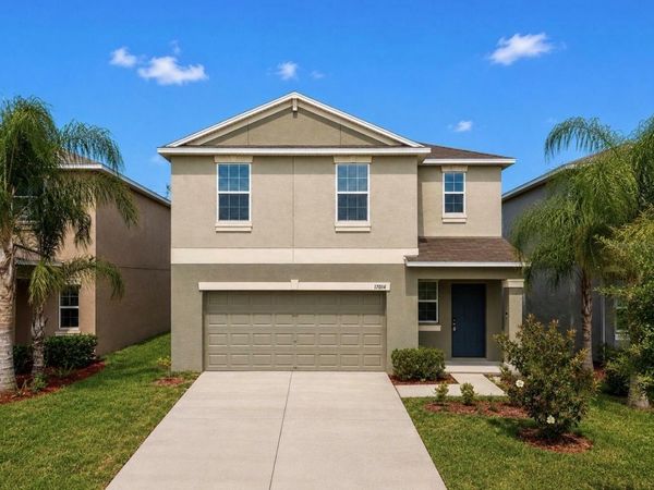 17014 YELLOW PINE STREET, WIMAUMA, FL 33598