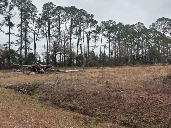 9600 LIGHT AVENUE , HASTINGS, FL 32145