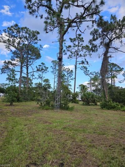 1375 W Ash Rd, Labelle, FL 33935 Photo