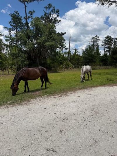 1375 W Ash Rd, Labelle, FL 33935 Photo
