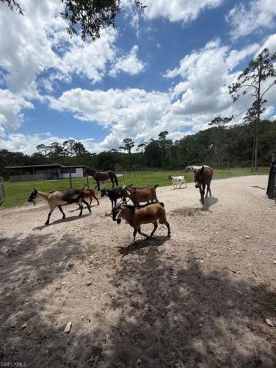1375 W Ash Rd, Labelle, FL 33935 Photo