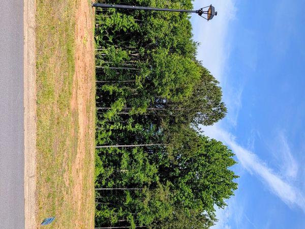 200 Chaucer Lane, Unit LOT 72, Carrollton, GA 30117