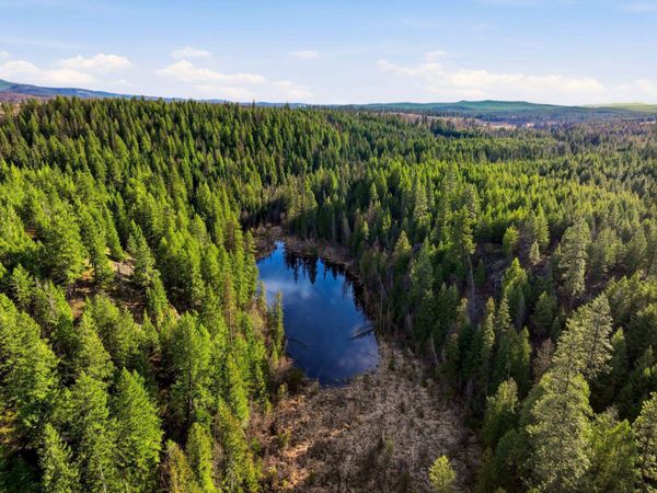 NNA Undisclosed Address , Elk, WA 99009