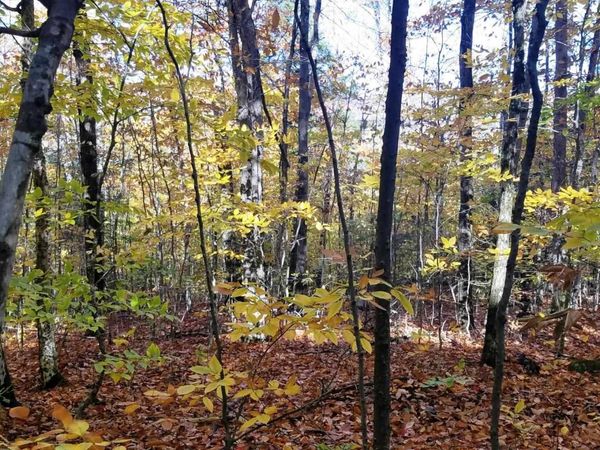 12-10 Boulder Drive, Campton, NH 03223
