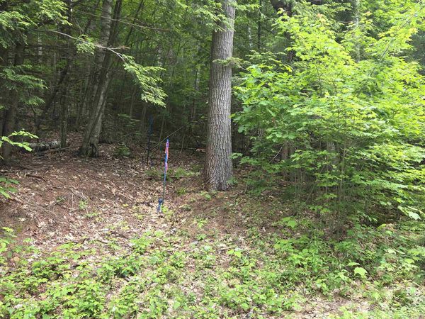 12-10 Boulder Drive, Campton, NH 03223