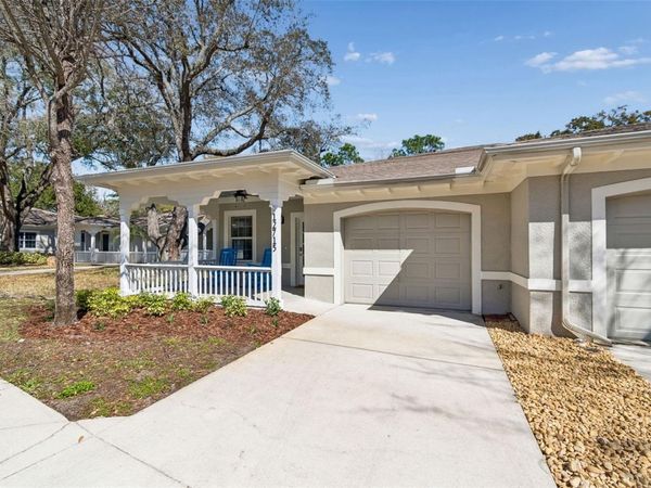 12715 TAYLOR NICOLAS DRIVE , TAMPA, FL 33612