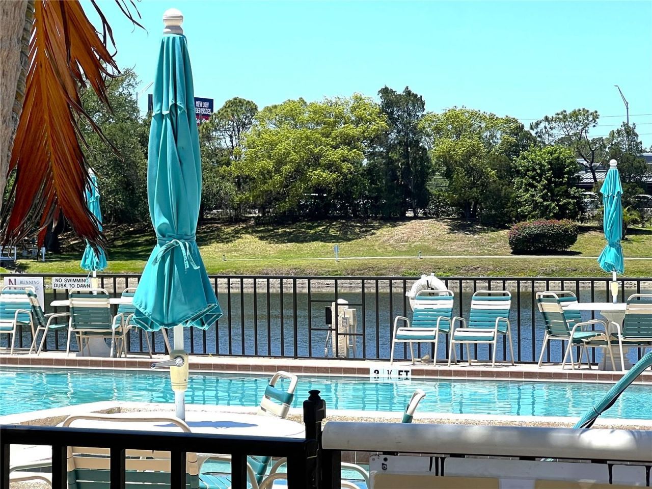 2655 Pine Ridge Way N, Unit B1, Palm Harbor, FL 34684 Photo