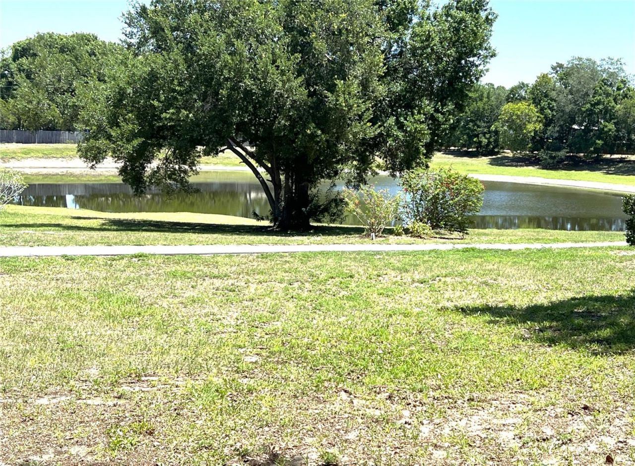 2655 Pine Ridge Way N, Unit B1, Palm Harbor, FL 34684 Photo