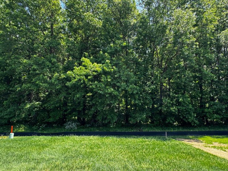 3495 Tender Avenue , Unit Lot 7151, Powell, OH 43065 Photo 33