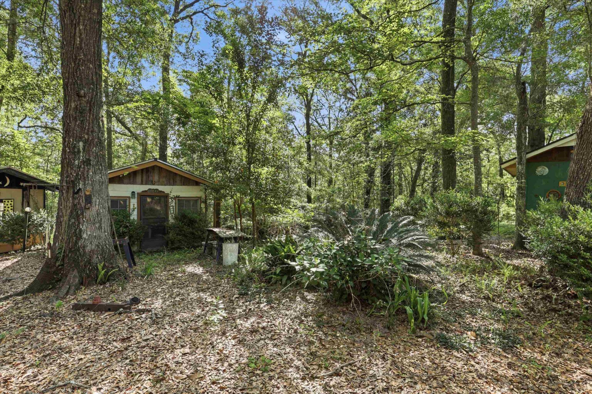 165 Arrow Trace , Havana, FL 32333 Photo